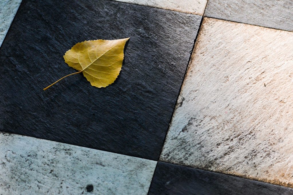 leaf, tiles, floor-4470075.jpg